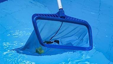 Skimmer net removing debris during pool water maintenance by Commercial Pool Kings.